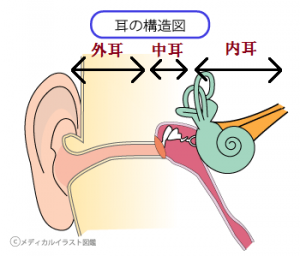 耳の仕組みから難聴を見る めがこん