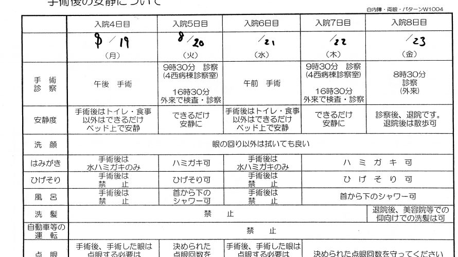 私の眼日記 ⑩　白内障編２（+おまけ）