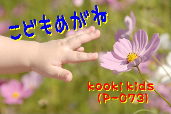 kooki kidsの新色紹介！